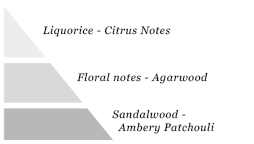 Olfactory pyramid