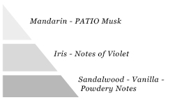 Olfactory pyramid