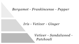 Olfactory pyramid