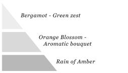 Olfactory pyramid