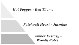 Olfactory pyramid