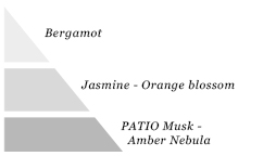 Olfactory pyramid