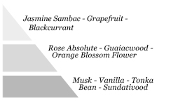 Olfactory pyramid