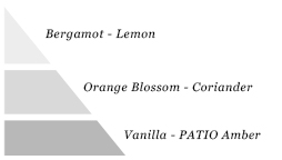 Olfactory pyramid