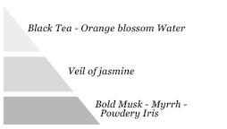 Olfactory pyramid